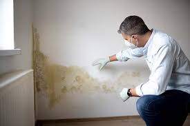 Reliable Woodway, TX Mold Removal Services Solutions